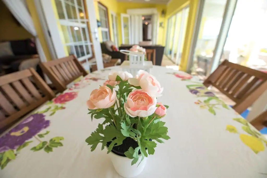 Fairmont Drive vacation rentals